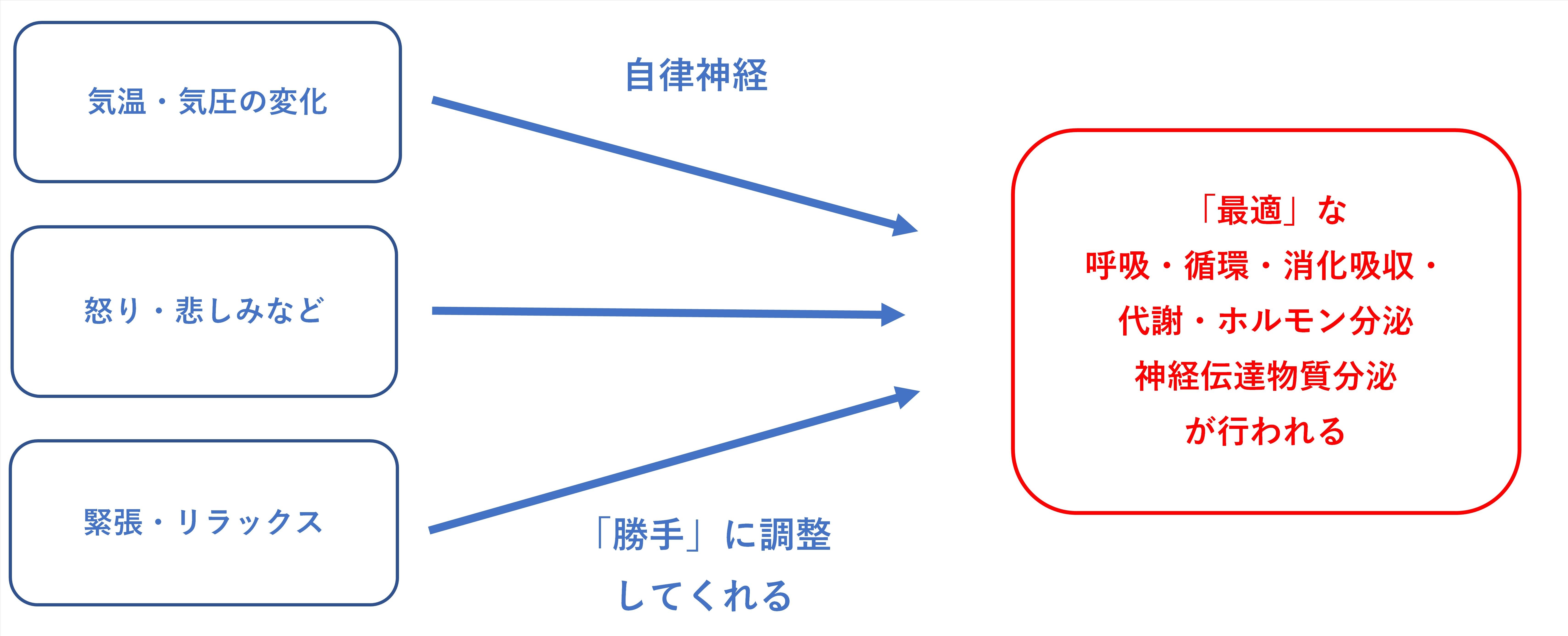 その症状は自律神経の乱れが影響しているかも 三軒茶屋a鍼灸院 三軒茶屋の鍼灸院